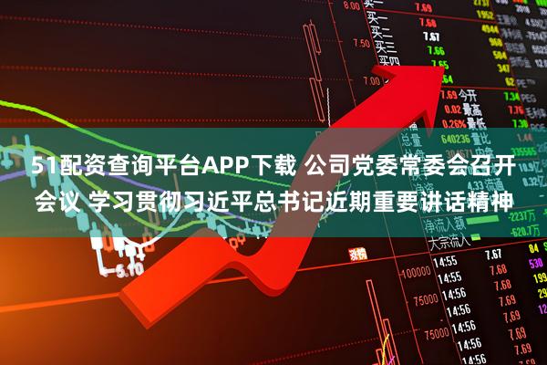 51配资查询平台APP下载 公司党委常委会召开会议 学习贯彻习近平总书记近期重要讲话精神
